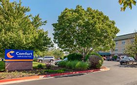 Comfort Inn & Suites Fayetteville-University Area